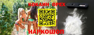 индика Пенза