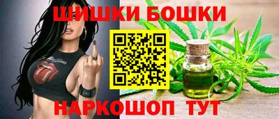 индика Пенза