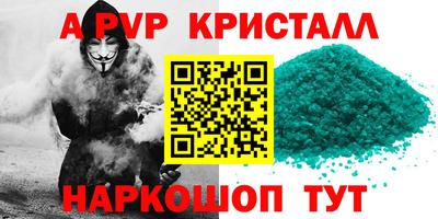 индика Пенза